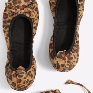 ALDO Flats - Animal Print GRALIND brown shoes